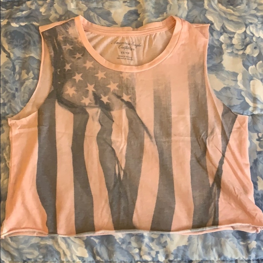 American Eagle American Flag crop top